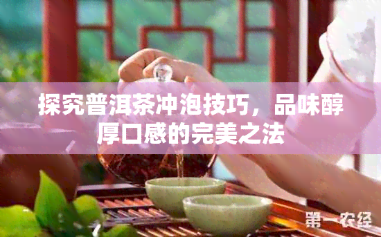 探究普洱茶冲泡技巧，品味醇厚口感的完美之法