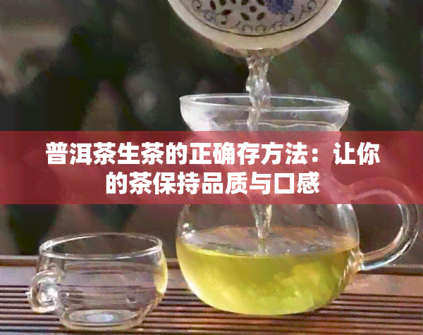 普洱茶生茶的正确存方法：让你的茶保持品质与口感