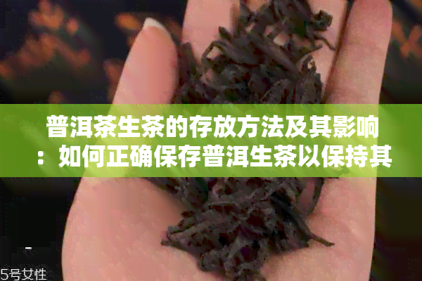 普洱茶生茶的存放方法及其影响：如何正确保存普洱生茶以保持其品质和口感？