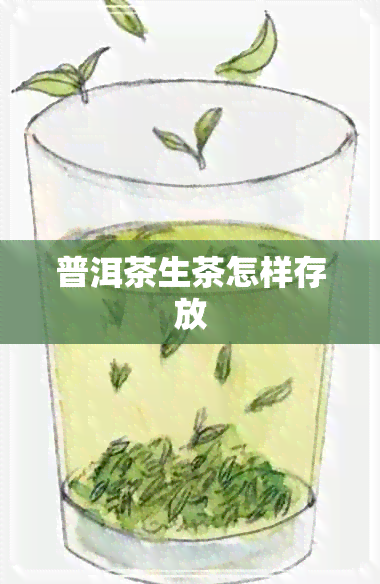 普洱茶生茶怎样存放