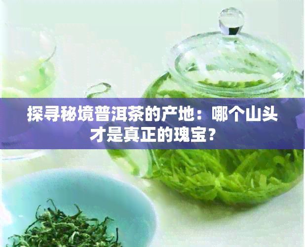 探寻秘境普洱茶的产地：哪个山头才是真正的瑰宝？