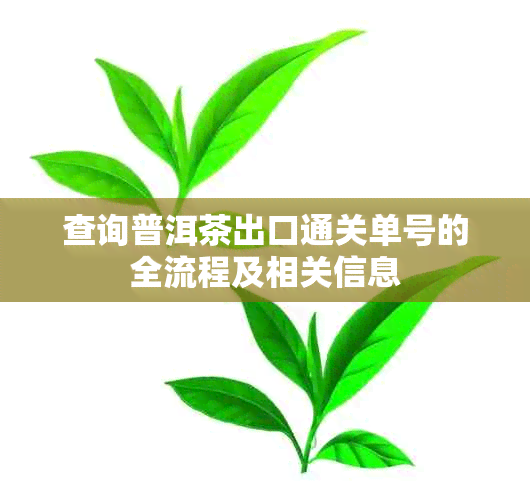 查询普洱茶出口通关单号的全流程及相关信息