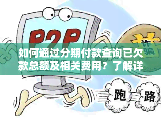 如何通过分期付款查询已欠款总额及相关费用？了解详细信息