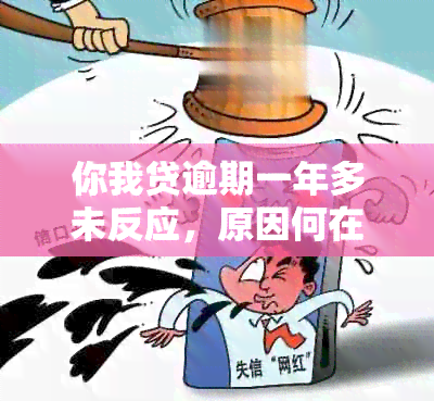 你我贷逾期一年多未反应，原因何在？