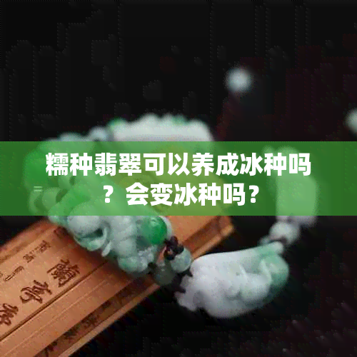 糯种翡翠可以养成冰种吗？会变冰种吗？