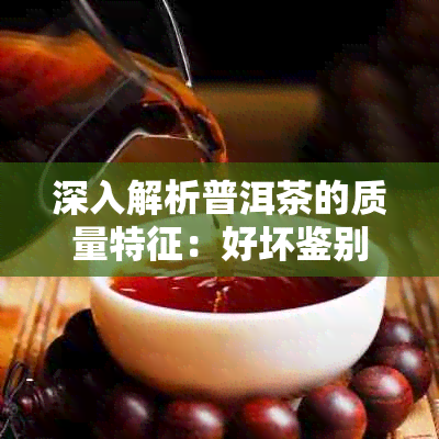 深入解析普洱茶的质量特征：好坏鉴别与品鉴技巧