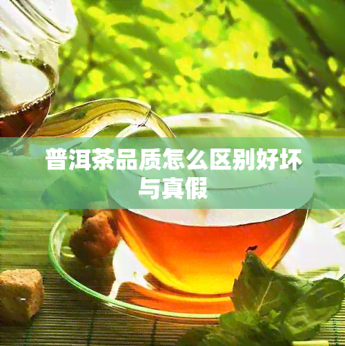 普洱茶品质怎么区别好坏与真假