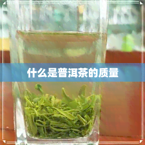 什么是普洱茶的质量