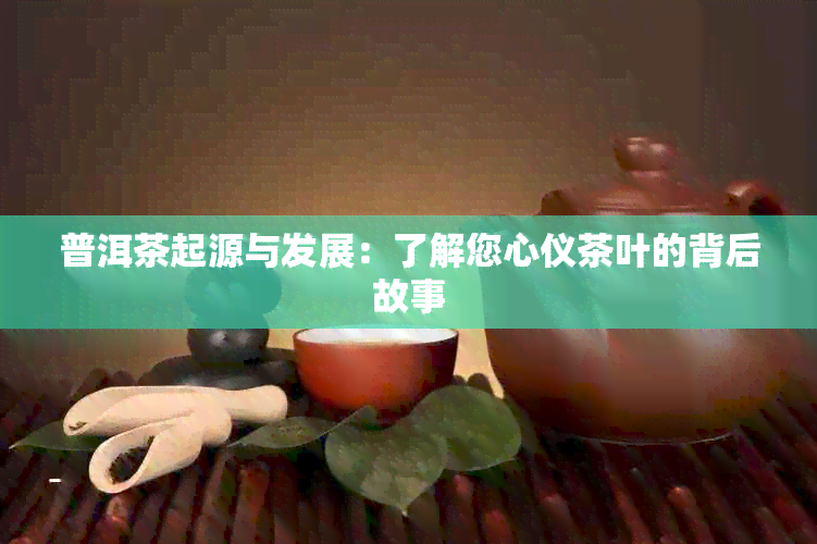 普洱茶起源与发展：了解您心仪茶叶的背后故事