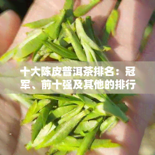 十大陈皮普洱茶排名：冠军、前十强及其他的排行