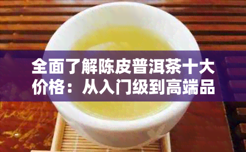 全面了解陈皮普洱茶十大价格：从入门级到高端品质，一应俱全的选购指南