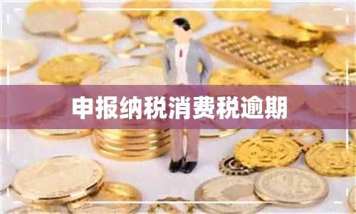 申报纳税消费税逾期