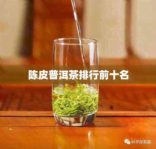 陈皮普洱茶排行前十名