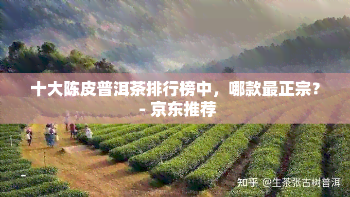 十大陈皮普洱茶排行榜中，哪款最正宗？ - 京东推荐