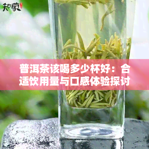 普洱茶该喝多少杯好：合适饮用量与口感体验探讨