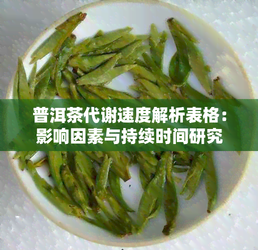 普洱茶代谢速度解析表格：影响因素与持续时间研究