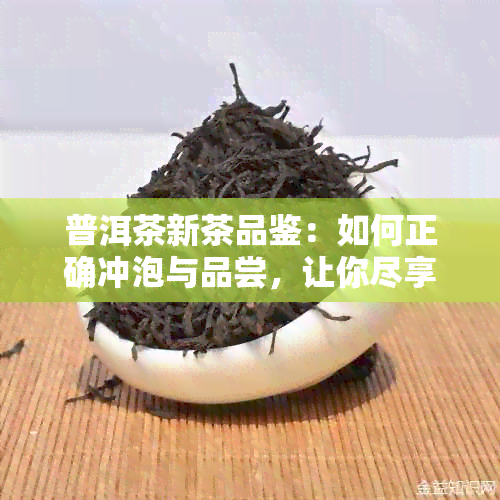 普洱茶新茶品鉴：如何正确冲泡与品尝，让你尽享醇美之味