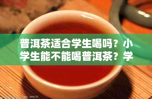 普洱茶适合学生喝吗？小学生能不能喝普洱茶？学生能喝普洱茶吗？