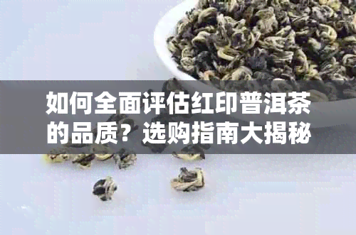 如何全面评估红印普洱茶的品质？选购指南大揭秘！