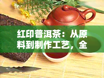 红印普洱茶：从原料到制作工艺，全面解析这一种普洱茶的魅力与区别