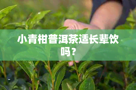 小青柑普洱茶适长辈饮吗？