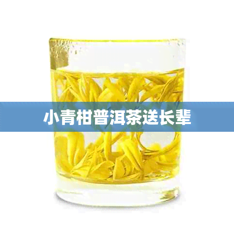 小青柑普洱茶送长辈