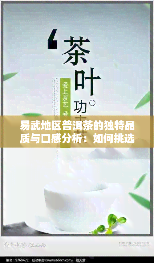 易武地区普洱茶的独特品质与口感分析：如何挑选与品鉴？