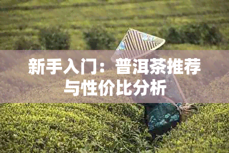 新手入门：普洱茶推荐与性价比分析