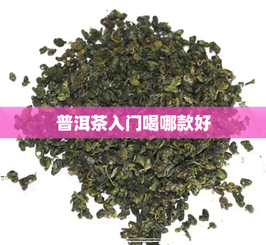 普洱茶入门喝哪款好