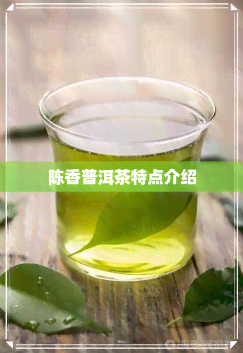 陈香普洱茶特点介绍