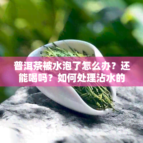 普洱茶被水泡了怎么办？还能喝吗？如何处理沾水的普洱茶？