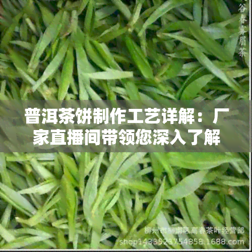 普洱茶饼制作工艺详解：厂家直播间带领您深入了解与实践