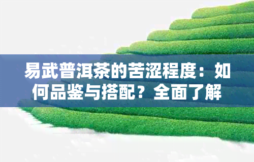 易武普洱茶的苦涩程度：如何品鉴与搭配？全面了解易武茶的特点与口感