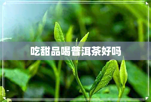 吃甜品喝普洱茶好吗