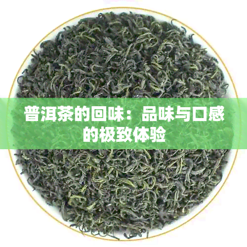 普洱茶的回味：品味与口感的极致体验