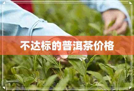 不达标的普洱茶价格