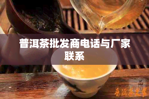 普洱茶批发商电话与厂家联系