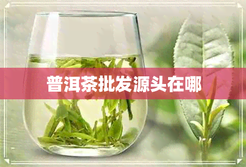 普洱茶批发源头在哪