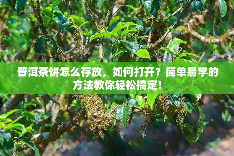 普洱茶饼怎么存放，如何打开？简单易学的方法教你轻松搞定！