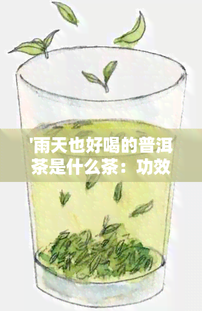 '雨天也好喝的普洱茶是什么茶：功效、种类与讲究'