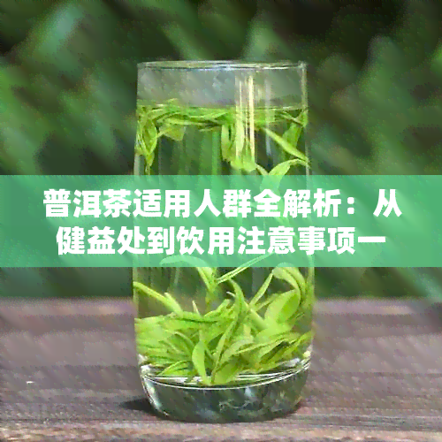 普洱茶适用人群全解析：从健益处到饮用注意事项一应俱全