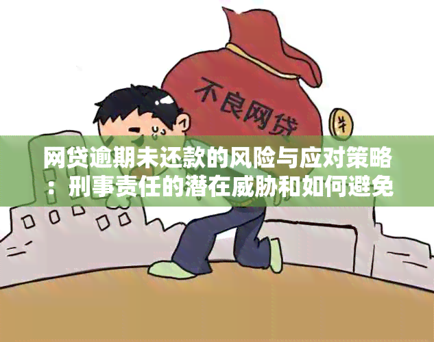 网贷逾期未还款的风险与应对策略：刑事责任的潜在和如何避免