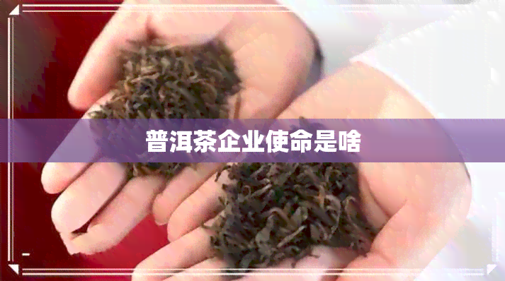 普洱茶企业使命是啥