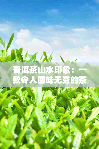 普洱茶山水印象：一款令人回味无穷的茶叶体验