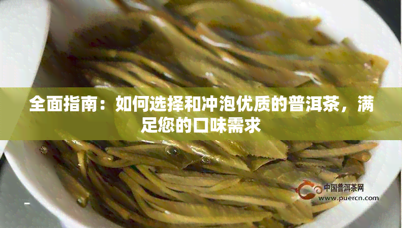 全面指南：如何选择和冲泡优质的普洱茶，满足您的口味需求