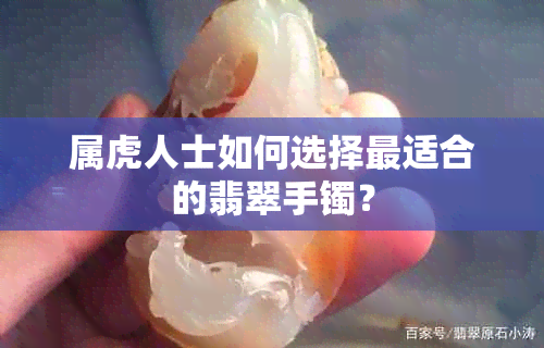 属虎人士如何选择最适合的翡翠手镯？