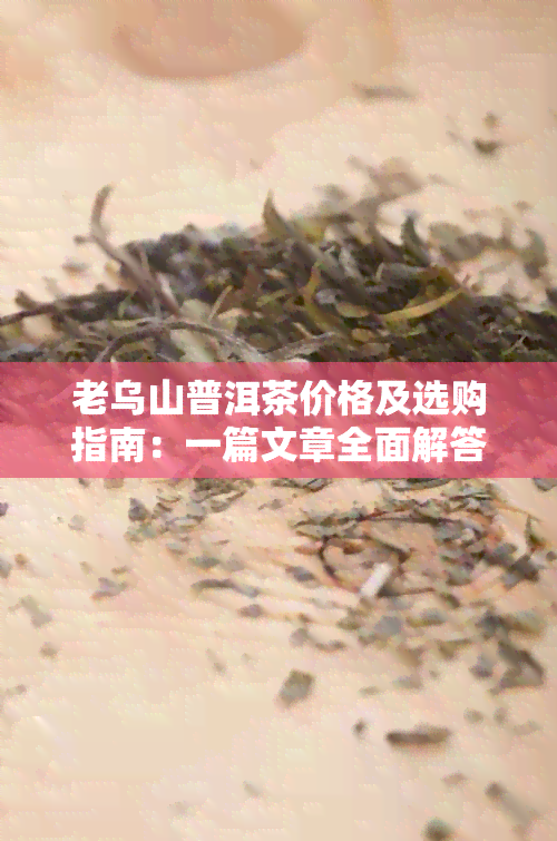 老乌山普洱茶价格及选购指南：一篇文章全面解答您的疑问