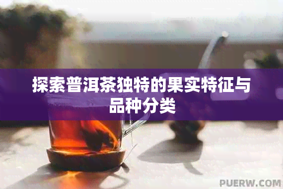 探索普洱茶独特的果实特征与品种分类