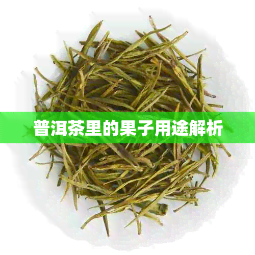 普洱茶里的果子用途解析