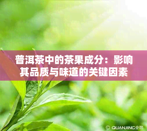 普洱茶中的茶果成分：影响其品质与味道的关键因素